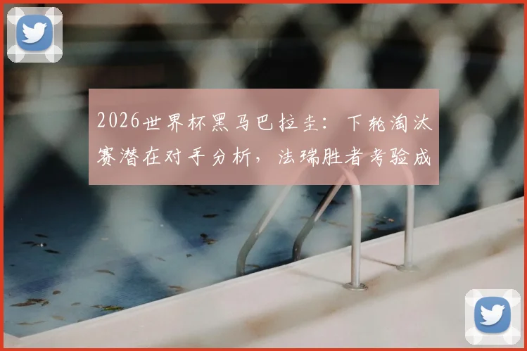 2026世界杯黑马巴拉圭:下轮淘汰赛潜在对手分析,法瑞胜者考验成色几何